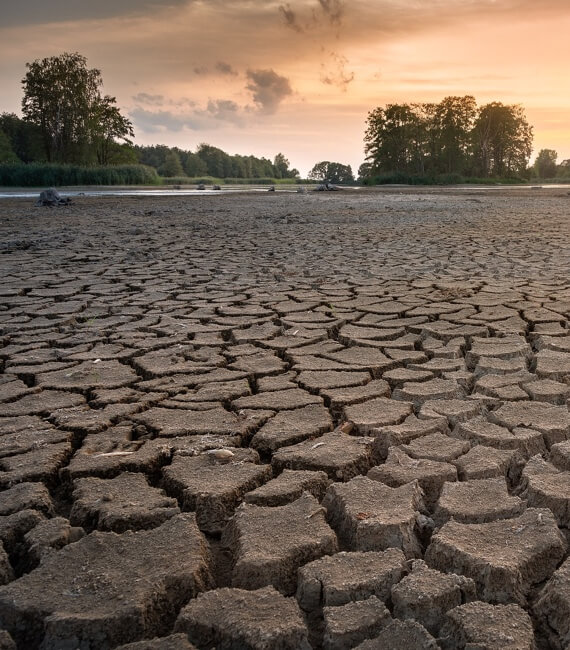 Droogte door klimaatverandering, hoe zit het in mijn omgeving?