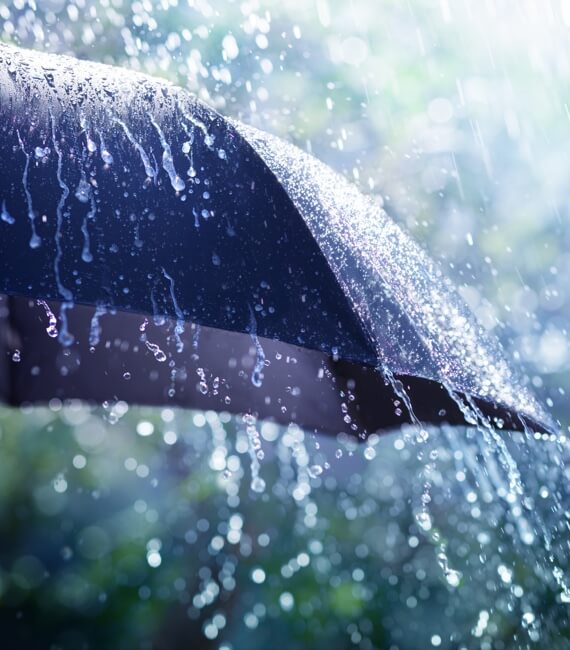 Hoeveelheid neerslag per jaar neemt overal in Nederland toe als gevolg van klimaatverandering. Wat is het effect in uw omgeving?